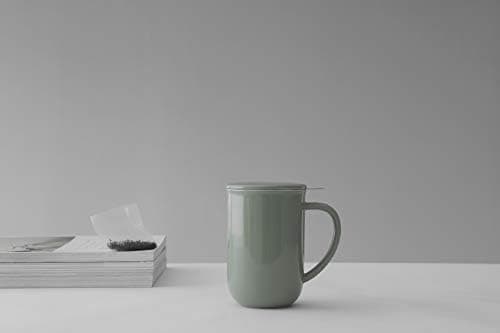 Viva Scandinavia Teetasse Glas Doppelwandig für Thermoglas und Tee-Verfeinerung, mit Edelstahl-Sieb und Bambus-Holz-Deck