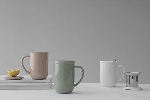 Viva Scandinavia Teetasse Glas Doppelwandig für Thermoglas und Tee-Verfeinerung, mit Edelstahl-Sieb und Bambus-Holz-Deck