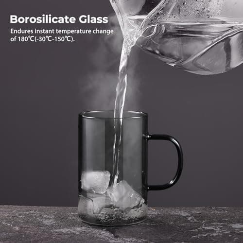 EcoOE 440 ml Borosilikat Teetasse mit Ultrafein Edelstahl Sieb und Natürlicher Bambus Deckel für Koffeinfreie Getränke