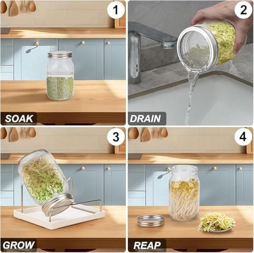 Sprossen Keimglas Set Edelstahl Filtergitter Ständer Microgreens Zucht