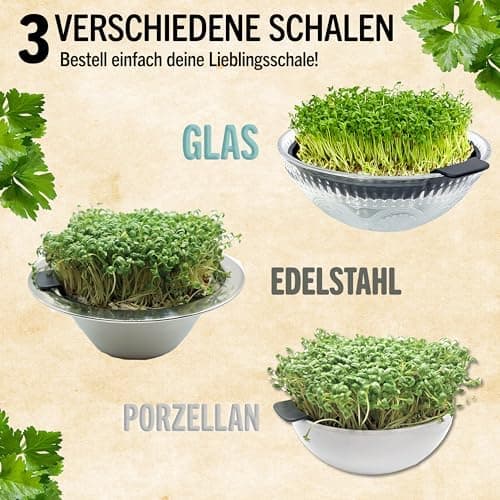 Sprossenglas Set (2er Set) + Bio Sprossen Samen (6 x Teil) inkl. Keimglas (Anthrazit) EU Organic