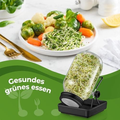 Ecooe Sprossen Keimglas 1er Set Schwarz Wasserspeicherung und Filtrierung für Sprossenkeimung Edelstahl 304 Filtergitter