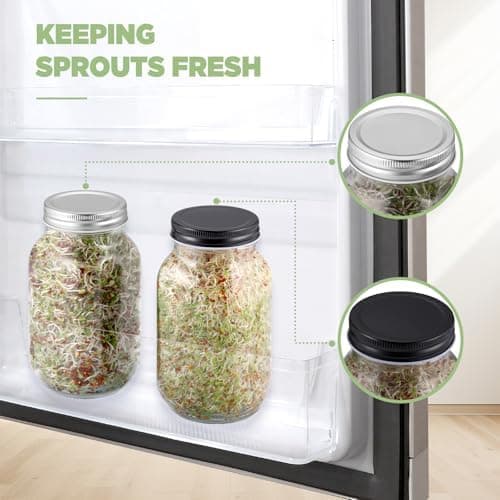 Ecooe Sprossen Keimgläser 2er Set für Sprossen Brokkolisprossen - Abdunklungshüllen und Edelstahlfilterkappe - 750 ml Wa
