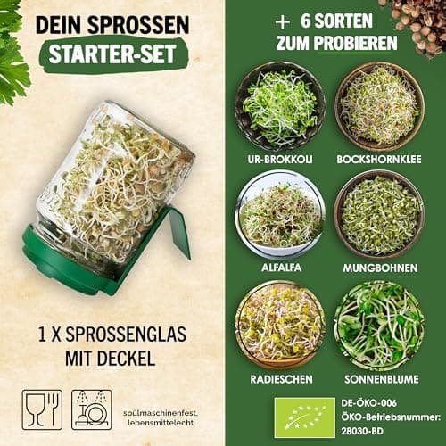 Sprossenglas Set (2er Set) + Bio Sprossen Samen (6 x Teil) inkl. Keimglas (Anthrazit) EU Organic