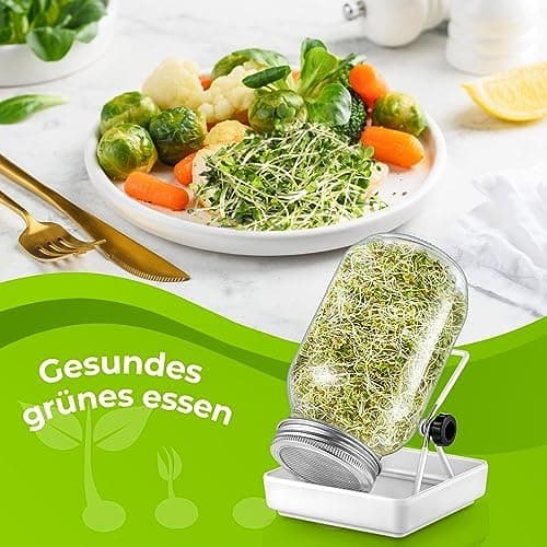 Ecooe Sprossen Keimglas 1er Set Schwarz Wasserspeicherung und Filtrierung für Sprossenkeimung Edelstahl 304 Filtergitter