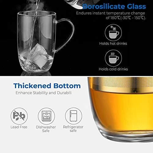 EcoOE 440 ml Borosilikat Teetasse mit Ultrafein Edelstahl Sieb und Natürlicher Bambus Deckel für Koffeinfreie Getränke