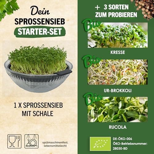 Sprossenglas Set (2er Set) + Bio Sprossen Samen (6 x Teil) inkl. Keimglas (Anthrazit) EU Organic