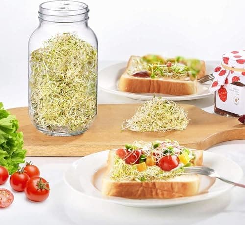 Ecooe Sprossen Keimgläser 2er Set für Sprossen Brokkolisprossen - Abdunklungshüllen und Edelstahlfilterkappe - 750 ml Wa