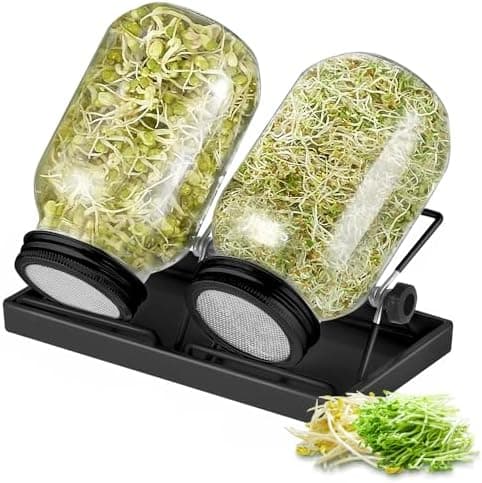 Ecoe Keimgläser Sprossen Keimglas 2er Set Edelstahl Filter Wasserschale Sprouting Jar