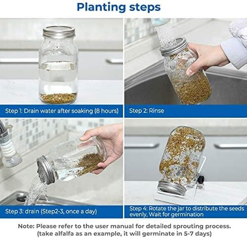 Ecoe Keimgläser Sprossen Keimglas 2er Set Edelstahl Filter Wasserschale Sprouting Jar