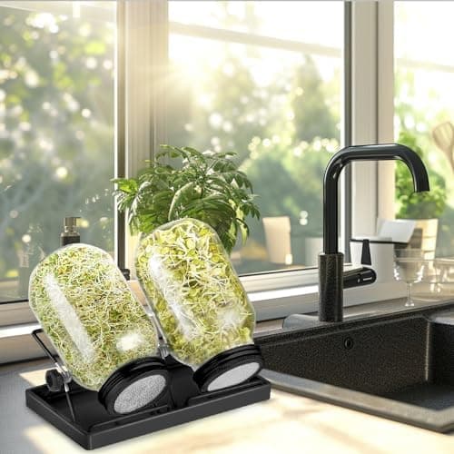 Ecoe Keimgläser Sprossen Keimglas 2er Set Edelstahl Filter Wasserschale Sprouting Jar