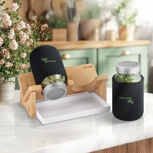 Ecooe Sprossen Keimgläser 2er Set für Sprossen Brokkolisprossen - Abdunklungshüllen und Edelstahlfilterkappe - 750 ml Wa