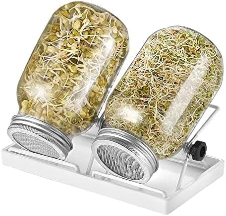 Ecoe Keimgläser Sprossen Keimglas 2er Set Edelstahl Filter Wasserschale Sprouting Jar