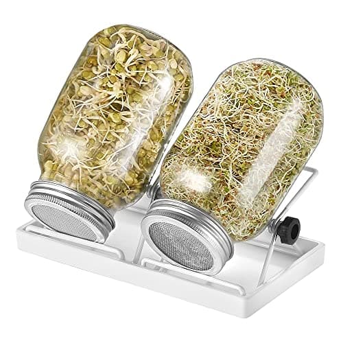 Ecoe Keimgläser Sprossen Keimglas 2er Set Edelstahl Filter Wasserschale Sprouting Jar
