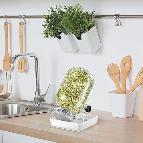Ecooe Sprossen Keimglas 1er Set Schwarz Wasserspeicherung und Filtrierung für Sprossenkeimung Edelstahl 304 Filtergitter