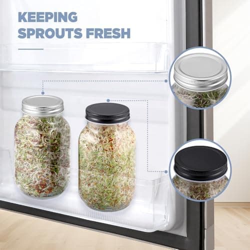 Ecooe Sprossen Keimgläser 2er Set für Sprossen Brokkolisprossen - Abdunklungshüllen und Edelstahlfilterkappe - 750 ml Wa