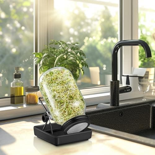 Ecooe Sprossen Keimglas 1er Set Schwarz Wasserspeicherung und Filtrierung für Sprossenkeimung Edelstahl 304 Filtergitter