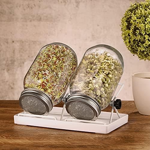 Ecoe Keimgläser Sprossen Keimglas 2er Set Edelstahl Filter Wasserschale Sprouting Jar
