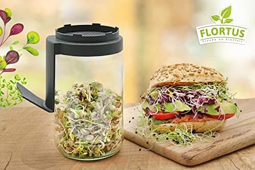 Sprossenglas Set FLORTUS 720ml frische Keimsprossen Anzucht - Sprossen Anzuchtset mit Siebdeckel & Ständer für leckere M