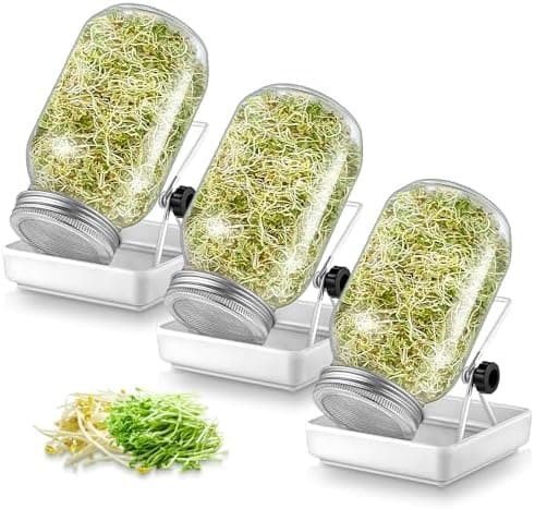 Ecoe Keimgläser Sprossen Keimglas 2er Set Edelstahl Filter Wasserschale Sprouting Jar
