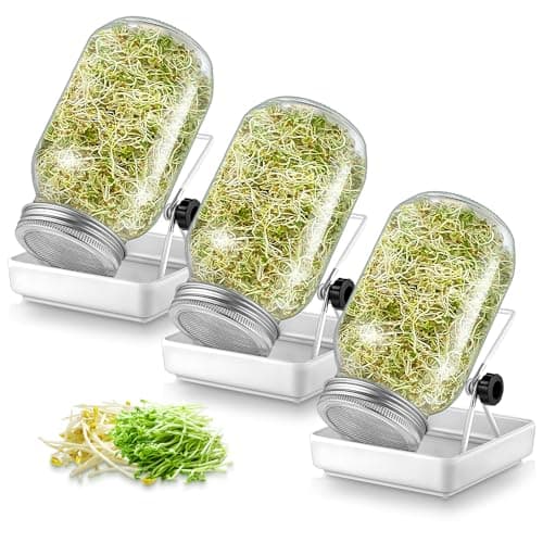 Ecoe Keimgläser Sprossen Keimglas 2er Set Edelstahl Filter Wasserschale Sprouting Jar