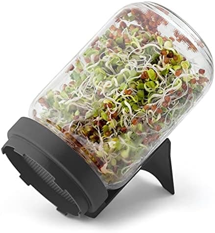 Sprossenglas Set FLORTUS 720ml frische Keimsprossen Anzucht - Sprossen Anzuchtset mit Siebdeckel & Ständer für leckere M