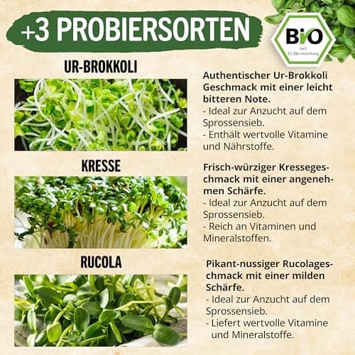 Sprossenglas Set (2er Set) + Bio Sprossen Samen (6 x Teil) inkl. Keimglas (Anthrazit) EU Organic