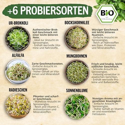 Sprossenglas Set (2er Set) + Bio Sprossen Samen (6 x Teil) inkl. Keimglas (Anthrazit) EU Organic
