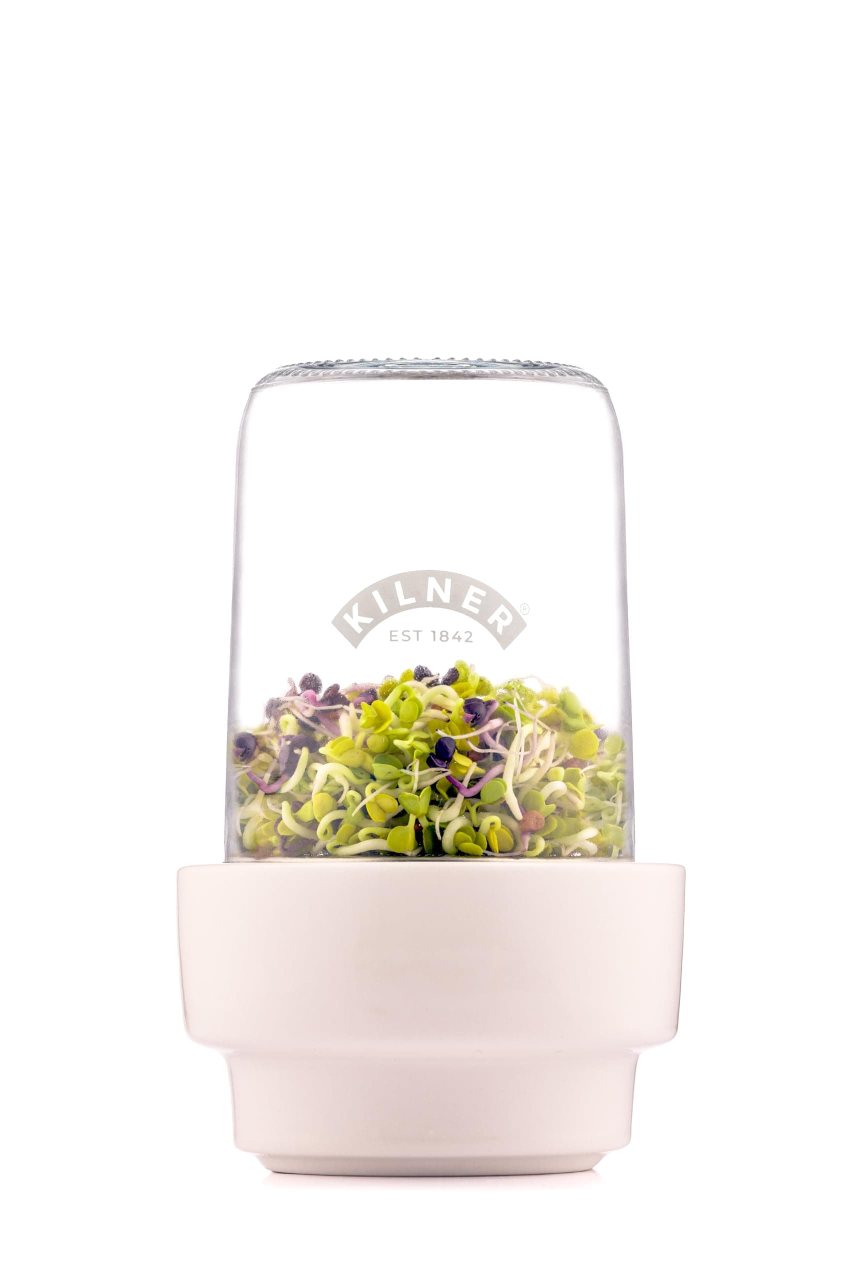 Kilner Sprossenglas Keimglas Set für Brokkolianbeter mit Anleitung und Edelstahlgerüst