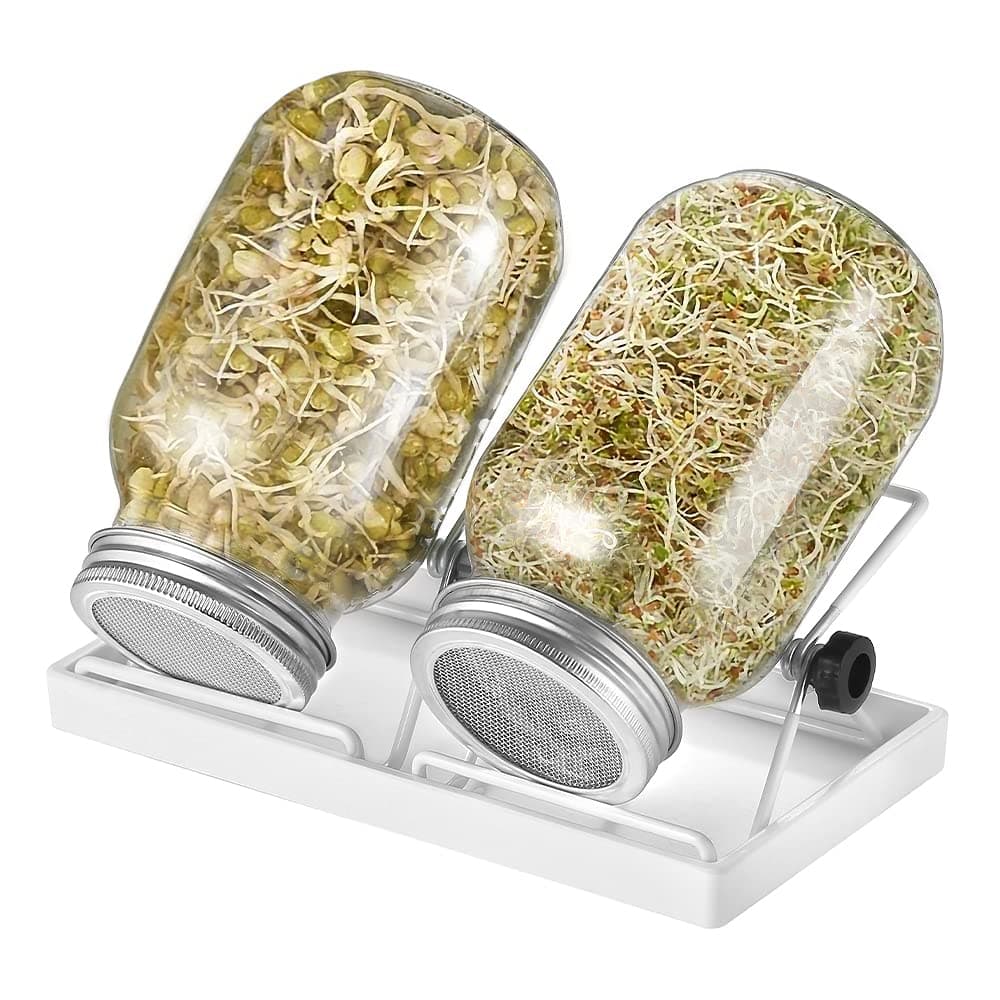 Ecoe Keimgläser Sprossen Keimglas 2er Set Edelstahl Filter Wasserschale Sprouting Jar